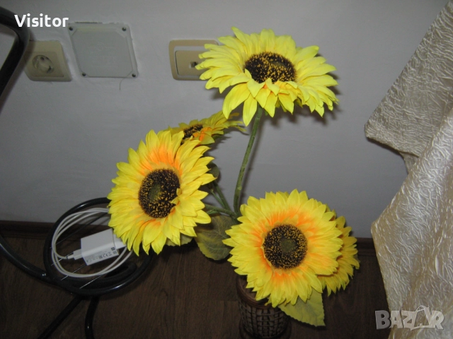 Canon PowerShot A470, снимка 12 - Фотоапарати - 52850721