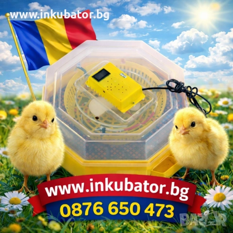 Румънски ИНКУБАТОРИ 