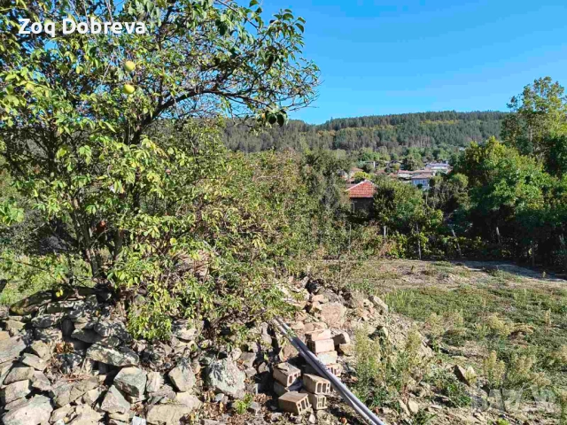 Парцел с ПУП в с.Присово, снимка 4 - Парцели - 51709715