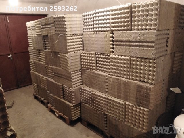 Продавам кори за яйца , снимка 5 - Кокошки и пуйки - 28068248