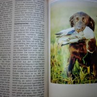 "Енциклопедия на кучето"-Германия, снимка 17 - Специализирана литература - 33458448