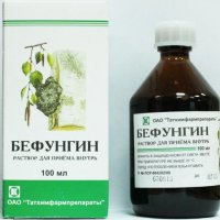 Бефунгин сироп 100мл. от брезова гъба Чага/ BEFUNGIN, снимка 1 - Хранителни добавки - 32539308