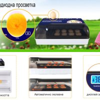 Автоматичен инкубатор за 12 броя яйца, снимка 4 - Други стоки за животни - 44082486