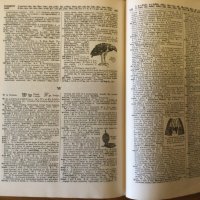 Funk & Wagnalls Standard Desk Dictionary 1936 г., снимка 9 - Чуждоезиково обучение, речници - 37032908