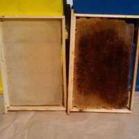 Изградени пчелни пити, снимка 3 - За пчели - 24401317