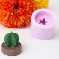 2 вид 3D кактус в цилиндър силиконов молд форма шоколад фондан гипс свещ, снимка 1 - Форми - 38275529