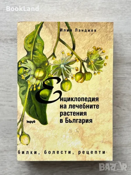Енциклопедия на лечебните растения в България , снимка 1