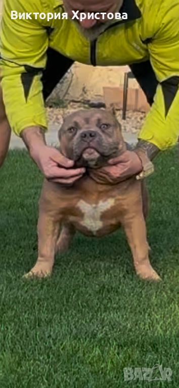 Були покет, снимка 1