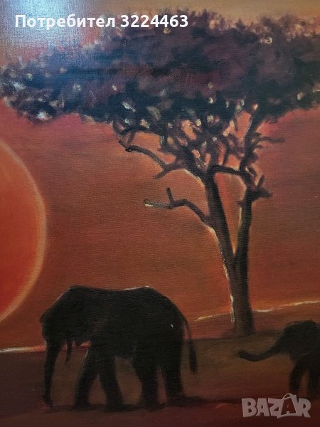 Много красива картина , снимка 1