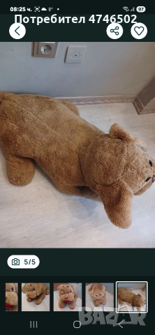 пелюшено куче