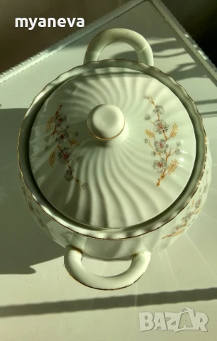 Български порцелан,супник , голяма плато , чиния (40 см), чинии за ядки и мезета (7 бр.)., снимка 12 - Чинии - 51379915