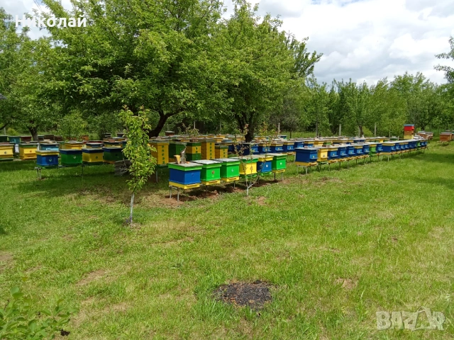 Отводки 2026г