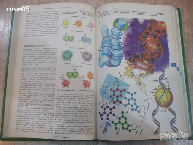 Книга "Энциклопедическ.словарь юного биолога-М.Аспиз"-352стр, снимка 6 - Енциклопедии, справочници - 27406959