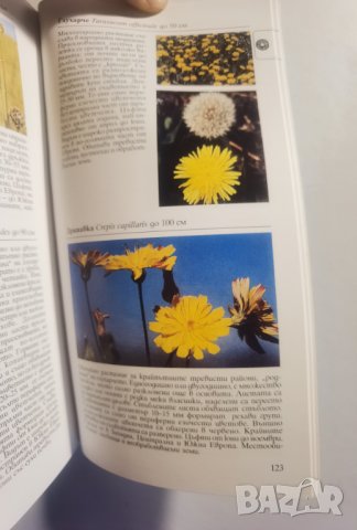 Фотографски определител на дивите цветя в Европа Над 250 вида с цветни снимки Пол Стери, Боб Прес, снимка 8 - Енциклопедии, справочници - 37289185