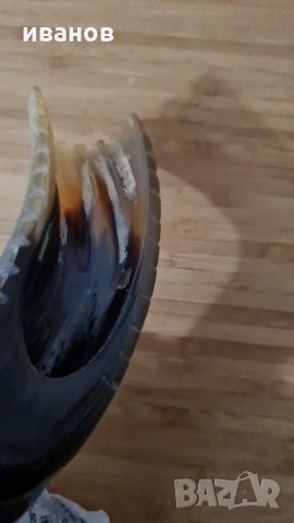 Сувенир от рог, снимка 5 - Декорация за дома - 32454529