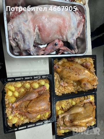 Агне/Пуйка на пещ, снимка 2 - Кетъринг - 52922991