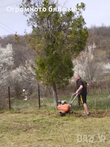 Фрезоване на градини, снимка 2 - Тор и почвени смеси - 47716425