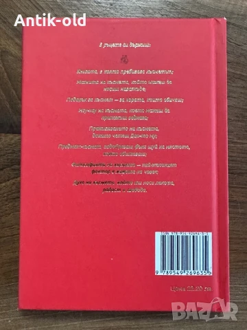 Дао на късмета-книга, снимка 3 - Художествена литература - 51374292