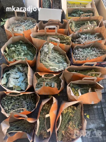 Чай, Билки, Подправки, плодове еко био, снимка 9 - Домашни продукти - 46647684