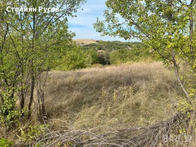 с. Калипетрово имот 1191кв.м / градина / парцел / терен , област Силистра -цена 11 000лв на 100м от , снимка 11 - Парцели - 49801270