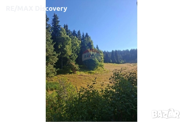 УПИ за продажба  близо до Роженските поляни, снимка 3 - Парцели - 52277758