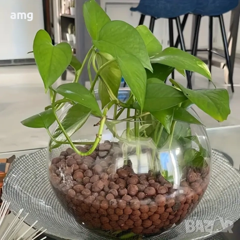 Голям Кръгъл Аквариум 11л 30х30см, снимка 6 - Декорация за дома - 51467806