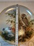 Австрийска порцеланова декоративна чиния сова, снимка 3