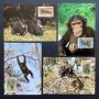 Сиера Леоне 1983 4 броя Карти Максимум - WWF, снимка 1 - Филателия - 38881758
