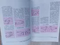 Тайната на лекуващите ръце.  От поредицата Здраве. Помогни си сам. , снимка 3