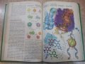 Книга "Энциклопедическ.словарь юного биолога-М.Аспиз"-352стр, снимка 6