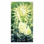 Карти Таро LoScarabeo Healing Light Tarot нови , снимка 2
