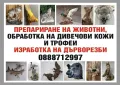 препариране на животни обработка на кожи и трофеи изработка на дърворезби , снимка 1