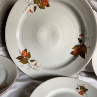 Голяма чиния/ плато с 6 малки чинии, есенни листа на Дянко Стефанов, ретро порцелан, снимка 2 - Сервизи - 39581837