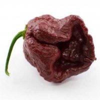 Семена от шестте най-лютите чушки на планетата : 1. Каролина Рийпър (Carolina Reaper) Средна лютивин, снимка 3 - Други - 37363054