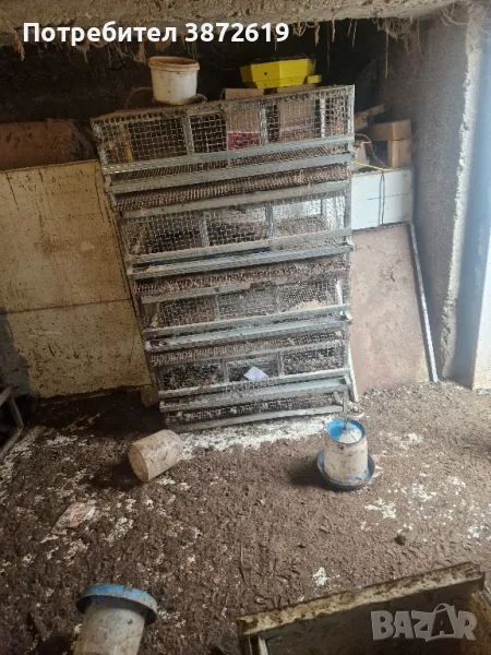 Клетки за пъдпъдъци, снимка 1