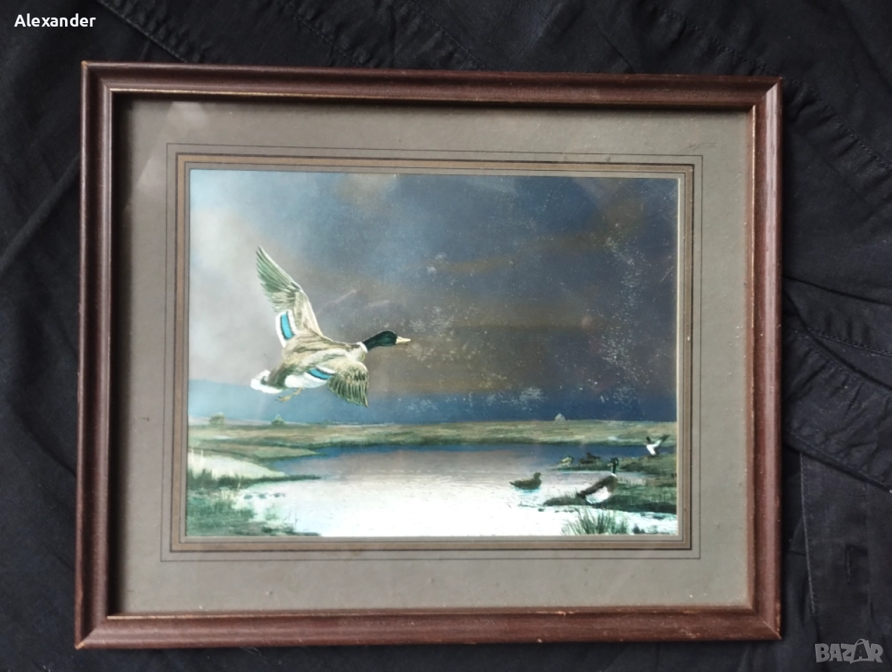 Картина .. диви патици ., снимка 1