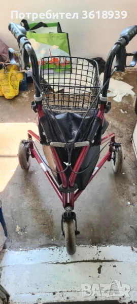 Проходилка английска, снимка 1