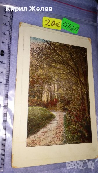 1909г. СТАРА ПОЩЕНСКА КАРТИЧКА ТВЪРД КАРТОН РЯДКА ЦВЕТНА ЛИТОГРАФИЯ ЦАРСТВО БЪЛГАРИЯ с МАРКА 32460, снимка 1