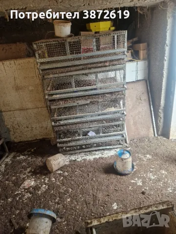 Клетки за пъдпъдъци, снимка 1