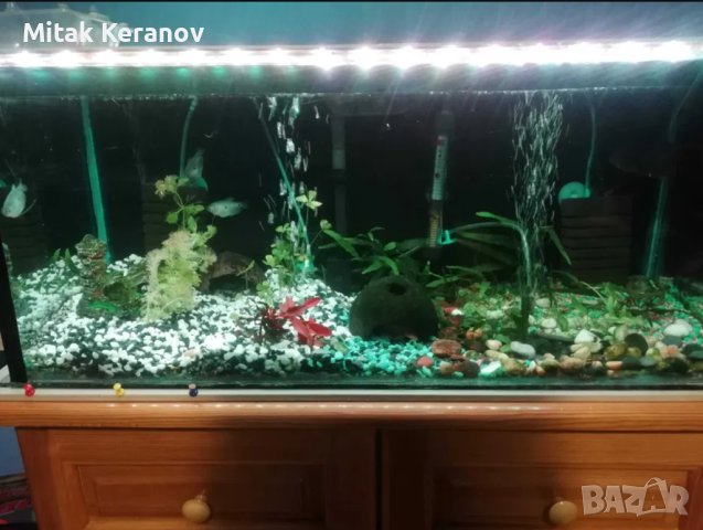 Аквариуми и терариуми с оборудване