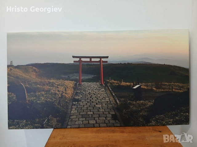 Снимка Картина Япония 