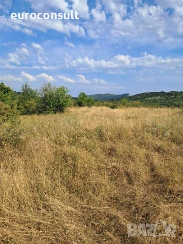 Парцел гр Севлиево 3605 кв.м ,местност "Севлиевски лозя",високата част , снимка 3 - Парцели - 52206441