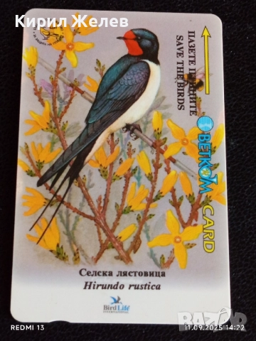 Три фонокарти МОБИКА, БЕТКОМ тема ЖИВОТНИ ПРИЛЕП, ЛЯСТОВИЧКА, БУХАЛ 38400, снимка 7 - Колекции - 51678827