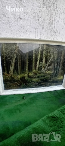 Голяма картина добре рамкирана и остъклена, снимка 10 - Картини - 51809834