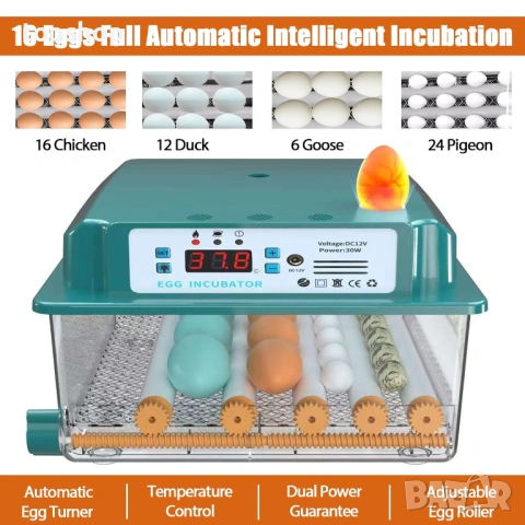 НОВ Auveach Автоматичен инкубатор за яйца Инкубатор за 16 кокоши яйца Автоматичен контрол..., снимка 4 - Други стоки за животни - 53186379