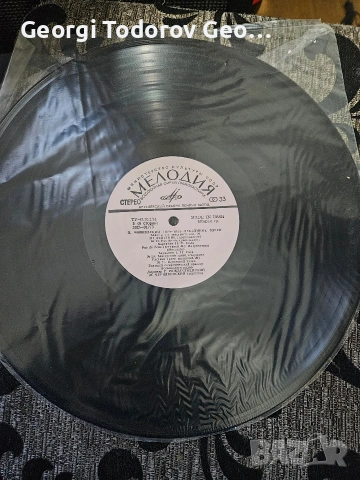 Грамофонни плочи с класика за ценители в отлично състояние, снимка 13 - Грамофонни плочи - 53354308