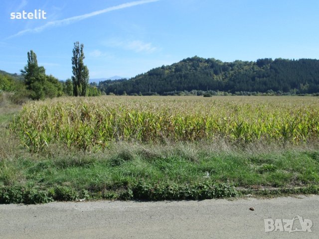 Продавам имот в землището на село Горна Малина директно до главен път, снимка 8 - Земеделска земя - 37381522