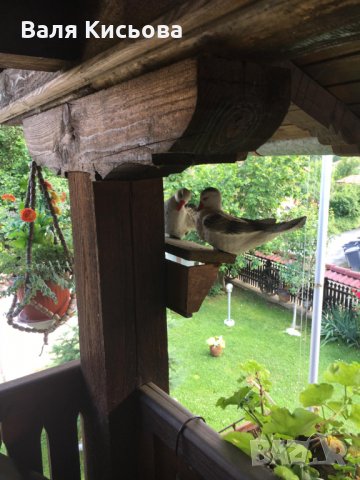 Почивка, нощувка в Елена, Еленския балкан в Дядовата къща , снимка 8 - Вили - 7767964