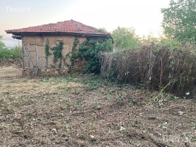 Косене на Трева и Почистване на Дворове, снимка 9 - Почистване на домове - 37740339