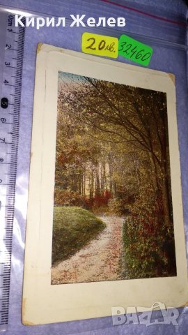 1909г. СТАРА ПОЩЕНСКА КАРТИЧКА ТВЪРД КАРТОН РЯДКА ЦВЕТНА ЛИТОГРАФИЯ ЦАРСТВО БЪЛГАРИЯ с МАРКА 32460